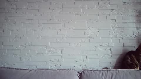 Snapshot of queenofmodels chatting on 11/17/25, 06:08 QueenOfModels online show from 11/17/25, 06:08