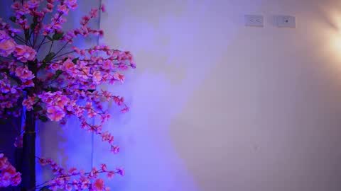 Snapshot of r4veenn chatting on 01/11/25, 08:00 RACHEL BLAKE online show from 01/11/25, 08:00