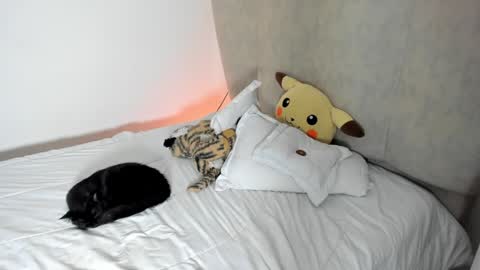 natalia  -  online show from 01/25/25, 08:10