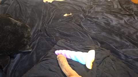 raerae02 online show from 05/06/26, 11:37