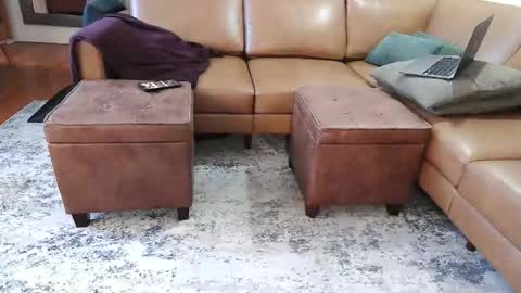 DressSock Shoe online show from 02/07/26, 02:59