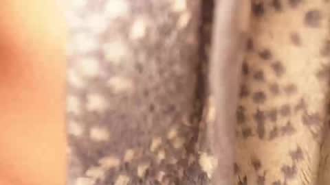 Rami online show from 02/17/25, 04:42