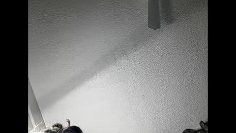 Snapshot of ramonajas chatting on 02/21/25, 04:51 RamonaJ online show from 02/21/25, 04:51