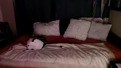 Snapshot of ramonaquinn chatting on 12/20/24, 08:49 RAMONA Q online show from 12/20/24, 08:49