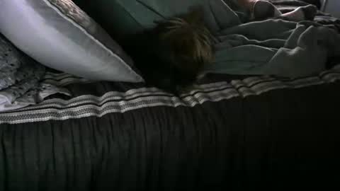 Randy8inbater online show from 01/12/25, 02:52