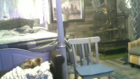 Snapshot of randybater8in chatting on 06/15/26, 02:03 Randy8inbater online show from 06/15/26, 02:03