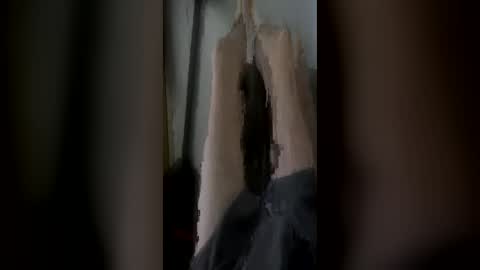 randycouple666 online show from 06/28/26, 09:43