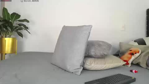 Snapshot of raven06_ chatting on 09/19/25, 03:45 Raven online show from 09/19/25, 03:45