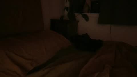 Snapshot of ravenousbttm chatting on 02/06/25, 06:51 sebas online show from 02/06/25, 06:51