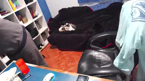 ravingr3d3 online show from 12/21/25, 12:51