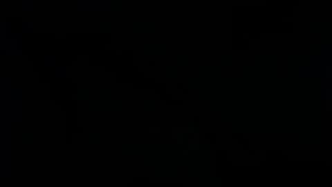 Ray  online show from 01/25/25, 02:47