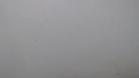 Ray  online show from 02/01/25, 02:16