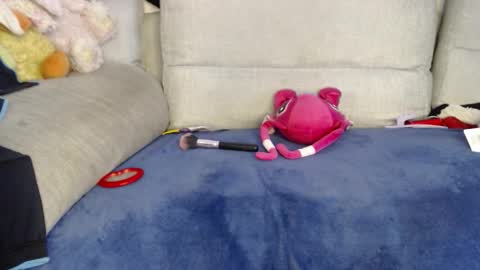 Ray  online show from 01/08/26, 06:32