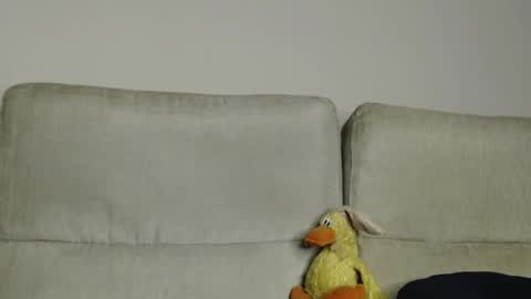 Snapshot of raycatt chatting on 04/05/26, 11:40 Ray online show from 04/05/26, 11:40