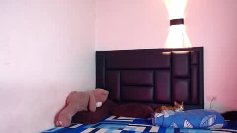 Snapshot of raydevil_ chatting on 10/17/25, 07:33 Rayn online show from 10/17/25, 07:33