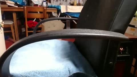 Snapshot of raysmith77777777 chatting on 11/04/25, 12:04 Ray online show from 11/04/25, 12:04