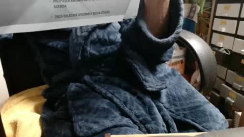 Snapshot of raysmith77777777 chatting on 11/23/25, 03:39 Ray online show from 11/23/25, 03:39