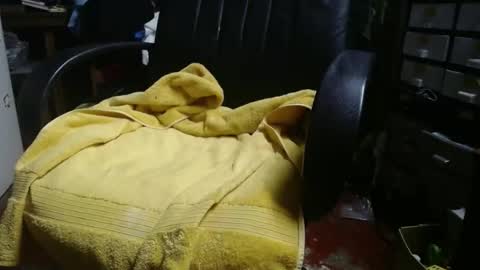 Snapshot of raysmith77777777 chatting on 11/24/25, 12:27 Ray online show from 11/24/25, 12:27