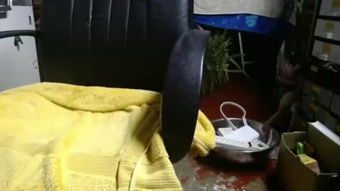 Snapshot of raysmith77777777 chatting on 11/27/25, 01:07 Ray online show from 11/27/25, 01:07