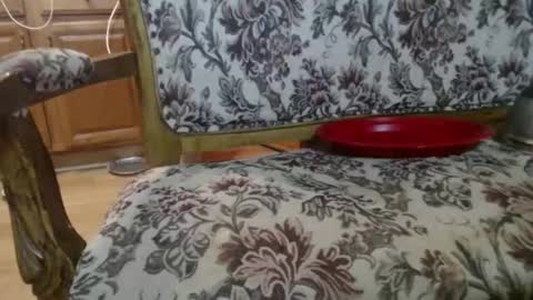 Snapshot of raysmith77777777 chatting on 02/01/26, 05:50 Ray online show from 02/01/26, 05:50