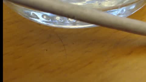 Snapshot of rb4711 chatting on 11/21/25, 05:22 rb4711 online show from 11/21/25, 05:22