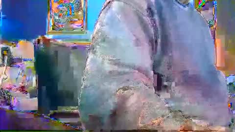 rb69er905364 online show from 12/28/24, 04:52