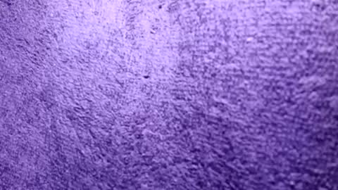 Snapshot of reafrio chatting on 10/21/25, 06:30 Rasta online show from 10/21/25, 06:30