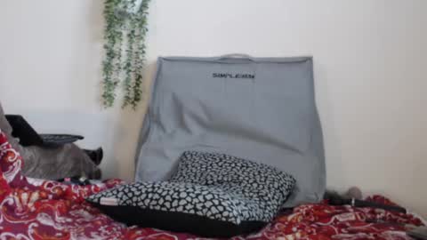 Snapshot of real_36_dd chatting on 02/24/25, 04:15 Fannie online show from 02/24/25, 04:15