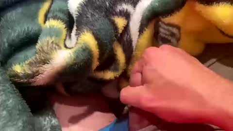 realbigload77 online show from 10/11/25, 02:55