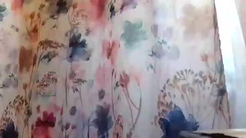 recka810 online show from 02/20/25, 09:42