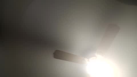 red24devils online show from 02/05/25, 06:35