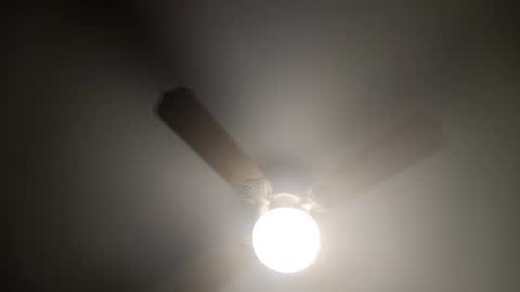 red24devils online show from 02/14/25, 04:26