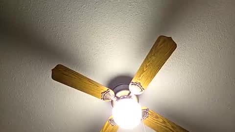 red24devils online show from 02/02/26, 08:07