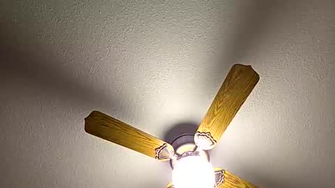 red24devils online show from 02/18/26, 12:50