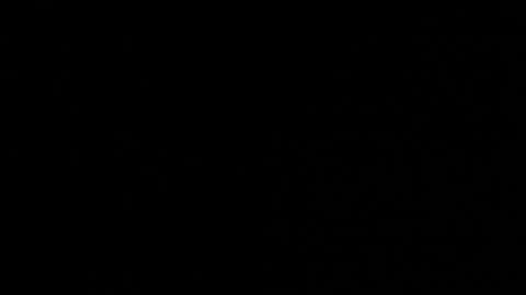 Neta online show from 10/24/25, 12:41