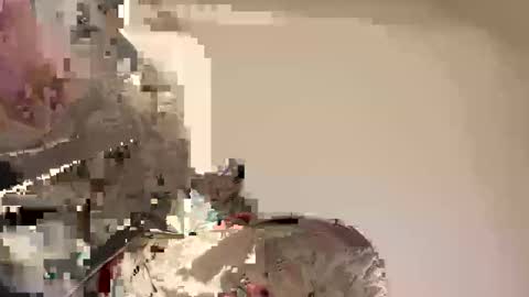 Ali j online show from 04/30/26, 08:57