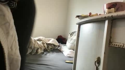 Snapshot of redfoxofficial chatting on 03/15/26, 10:54 Redfox online show from 03/15/26, 10:54