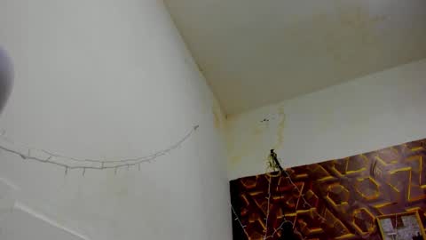 reed_kitty online show from 12/15/25, 12:42