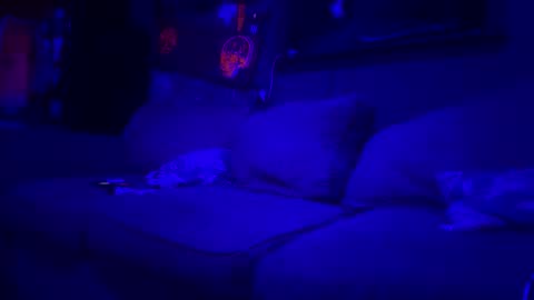 Snapshot of reeferleefer chatting on 03/10/26, 01:54 Lee online show from 03/10/26, 01:54