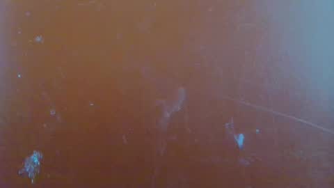 Snapshot of reina_paola chatting on 01/29/25, 06:22 paola online show from 01/29/25, 06:22