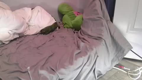 remshotdt online show from 03/01/25, 07:59