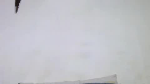 Walter online show from 05/13/26, 04:43
