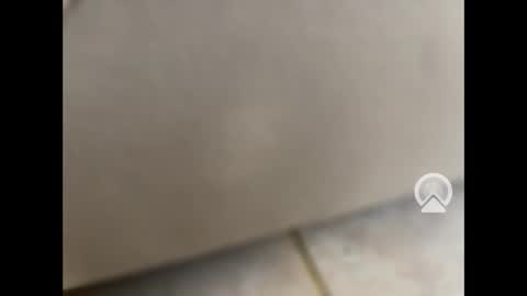 rgoggler2 online show from 01/28/25, 01:59