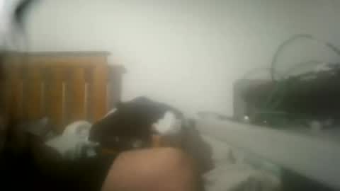 Snapshot of ricardll chatting on 07/04/26, 02:34 ricardll online show from 07/04/26, 02:34