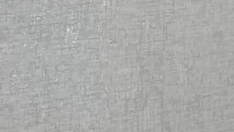 ricardogonzalez666 online show from 12/28/24, 05:55