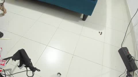 Rihanna hotx online show from 11/12/25, 02:56