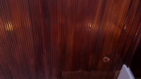 Snapshot of riley_reid_19 chatting on 01/10/25, 02:13 kamila online show from 01/10/25, 02:13