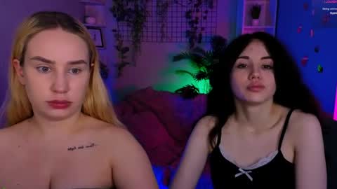 Meow online show from 06/13/26, 07:12