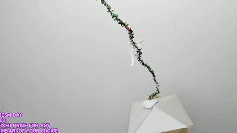 My name is Riley Like my broadcast pls 3 online show from 05/24/26, 03:00