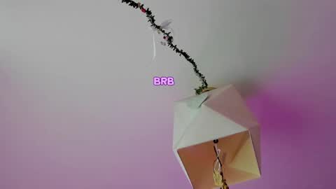 My name is Riley Like my broadcast pls 3 online show from 06/02/26, 03:08